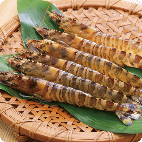 えび釣り大会（11/12）